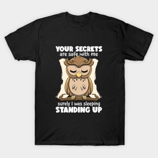 Sleeping Owl T-Shirt